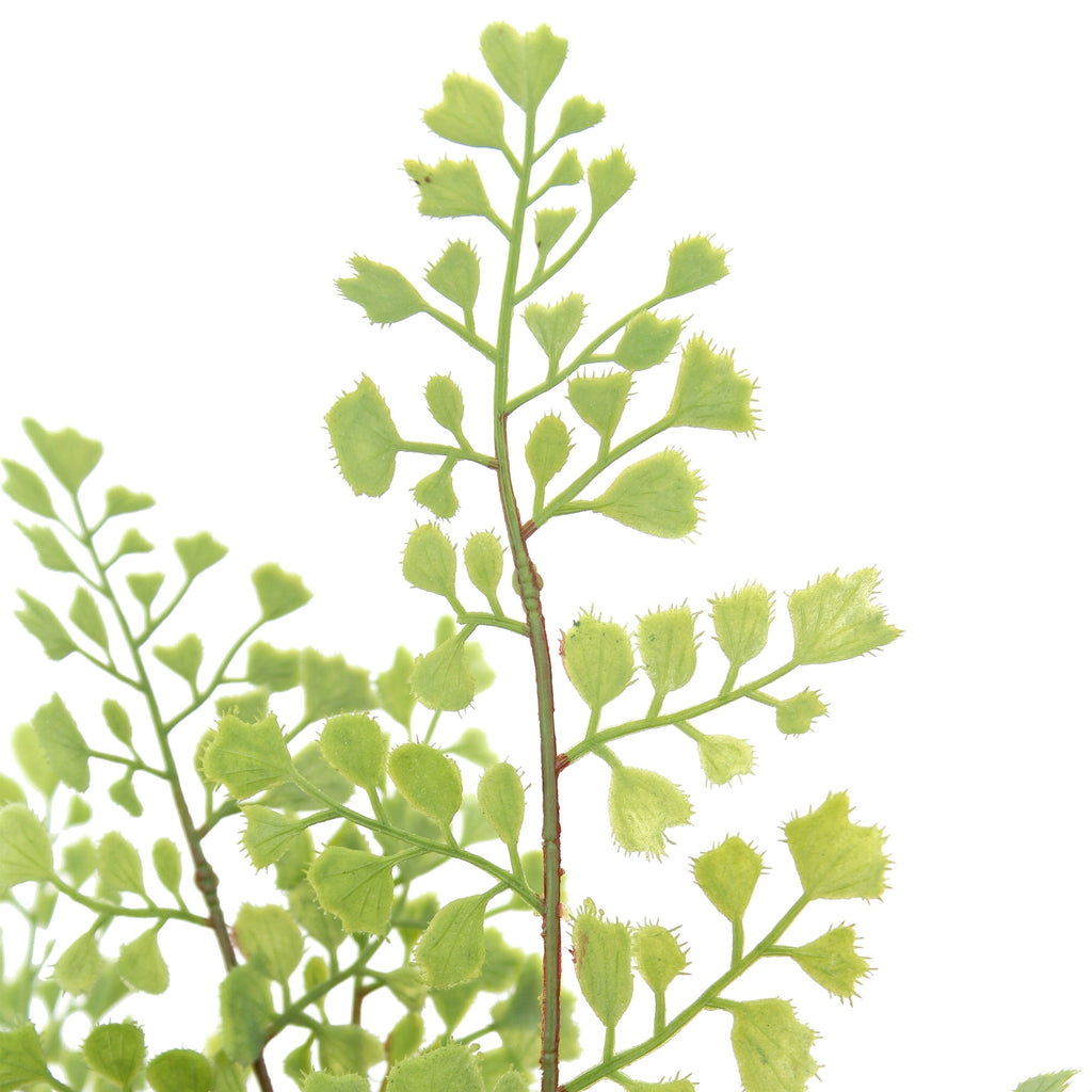 Faux Potted Snake and Fern Set