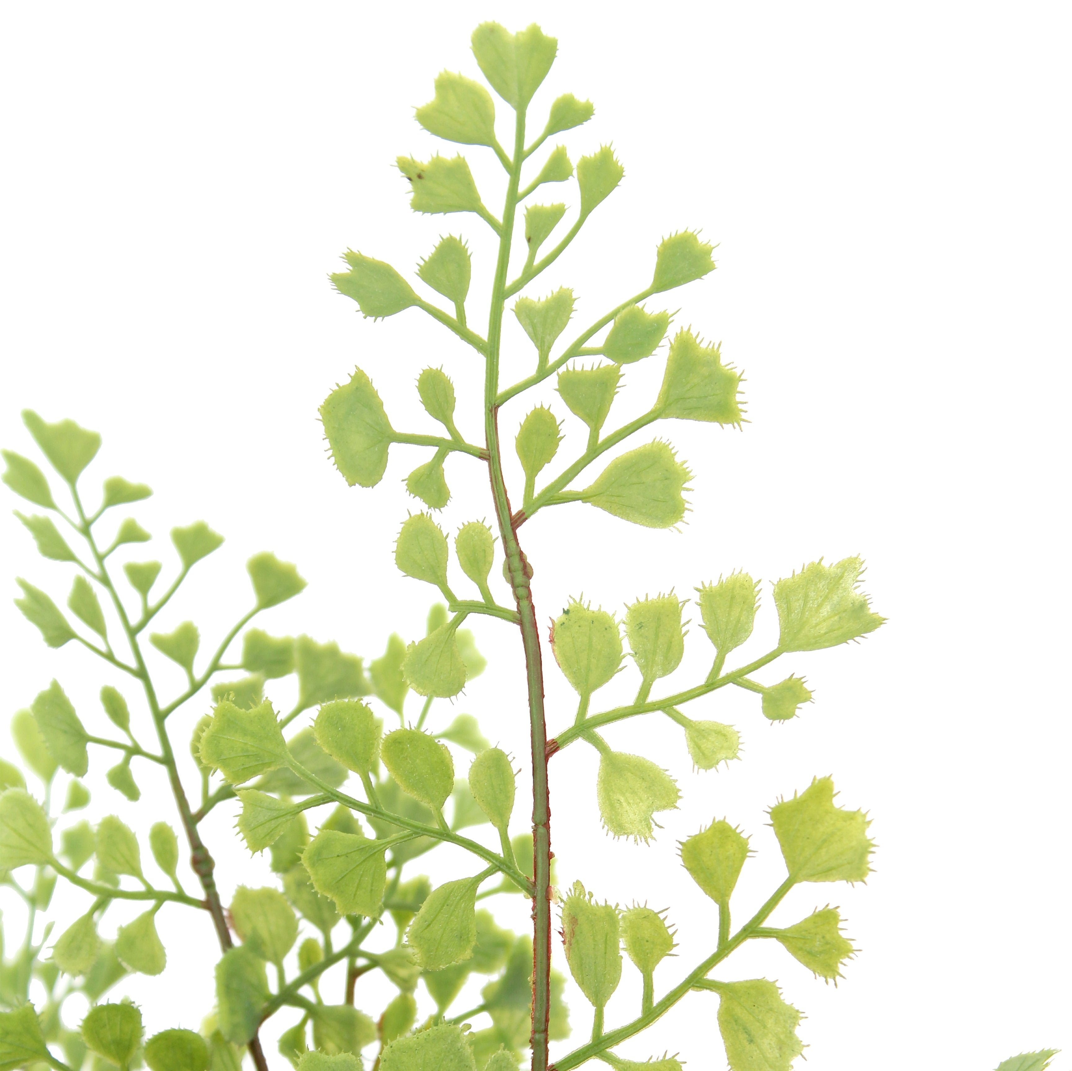 Faux Potted Snake and Fern Set