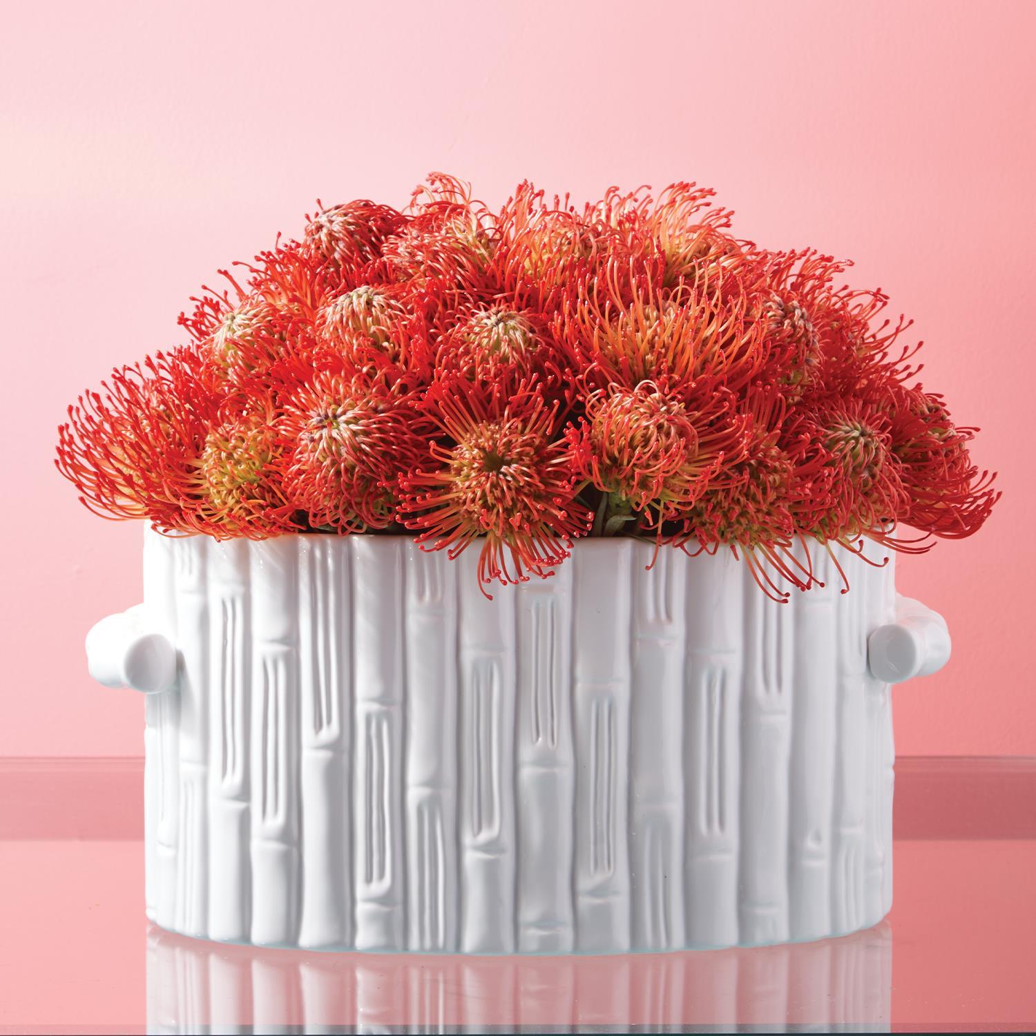 Faux Bamboo Oval Centerpiece / Cachepot with Handles