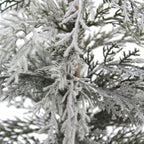 2' Flocked Cedar Tree with Lifelike Snowy Flocking
