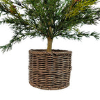 2' Pine Tree with Lifelike Branches and Rustic Pinecones in Brown Wired Basket