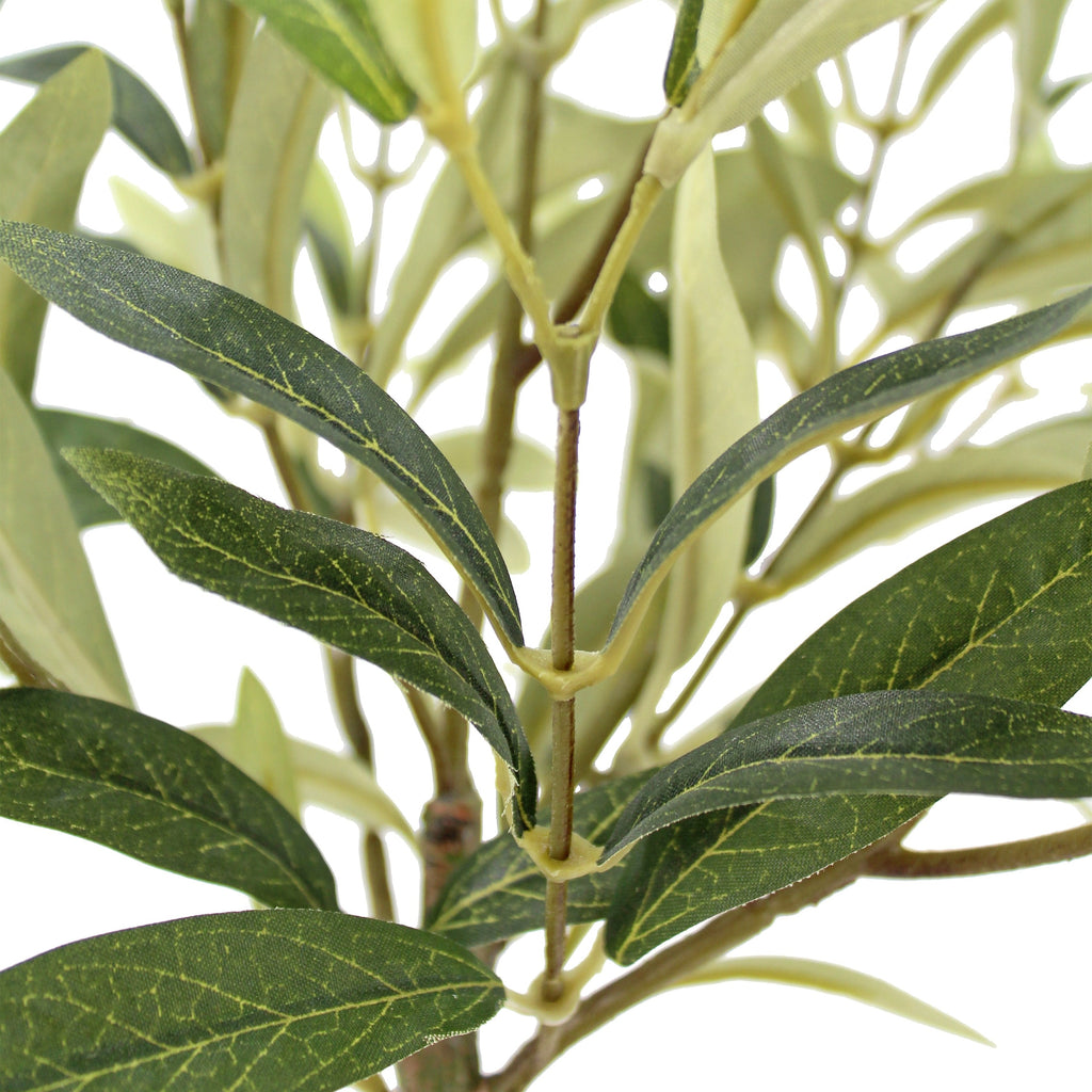 Elegant 12 Rosemary & 16 Olive Faux Topiary Set in Authentic Terracotta Pots