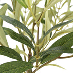 Elegant 12 Rosemary & 16 Olive Faux Topiary Set in Authentic Terracotta Pots