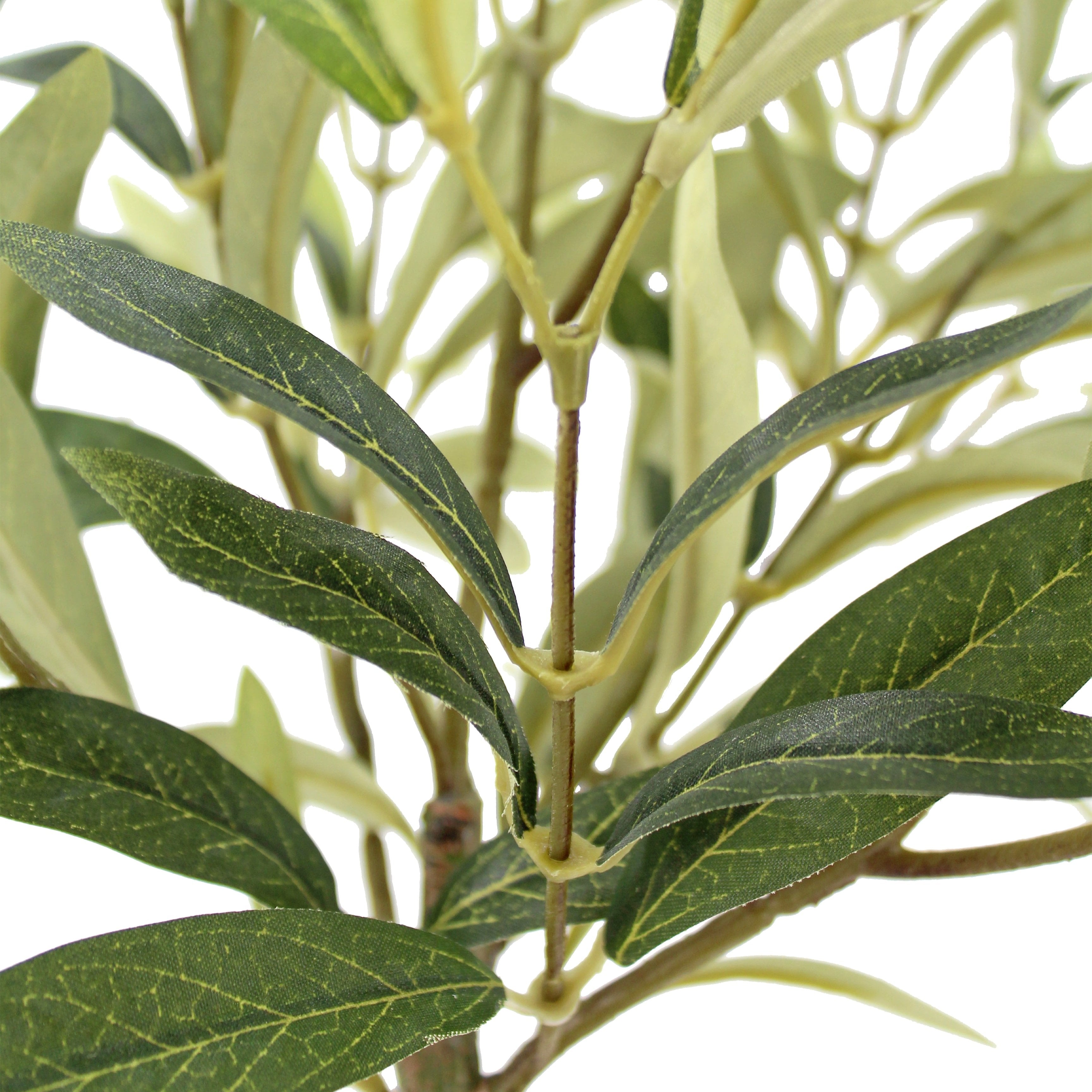 Elegant 12 Rosemary & 16 Olive Faux Topiary Set in Authentic Terracotta Pots