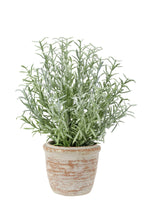 Elegant 12 Rosemary & 16 Olive Faux Topiary Set in Authentic Terracotta Pots