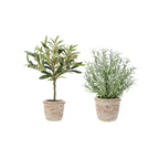 Elegant 12 Rosemary & 16 Olive Faux Topiary Set in Authentic Terracotta Pots