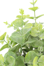 Faux 10 in Eucalyptus and 16 in Citrus Topiary Set