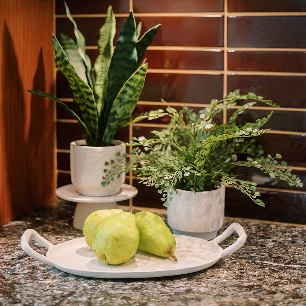 Faux Potted Snake and Fern Set