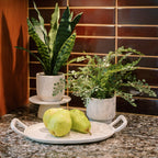 Aluminum Tray with Handle in Cream, 16 x 9.5 in