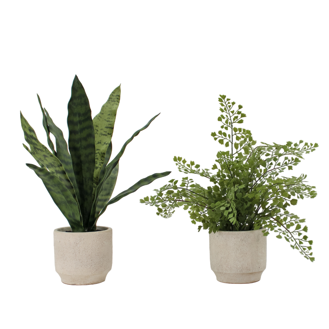 Faux Potted Snake and Fern Set
