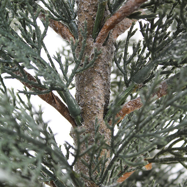 3' Flocked Cedar Tree with Snowy Flocking