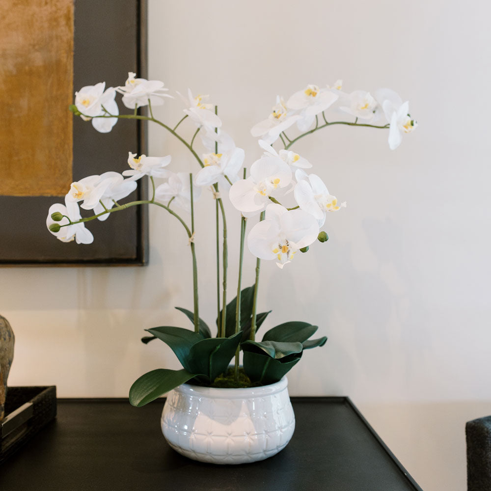 Lifelike 23 Faux Phalaenopsis Orchid