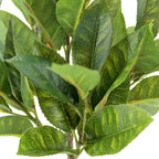 Faux 10 in Eucalyptus and 16 in Citrus Topiary Set