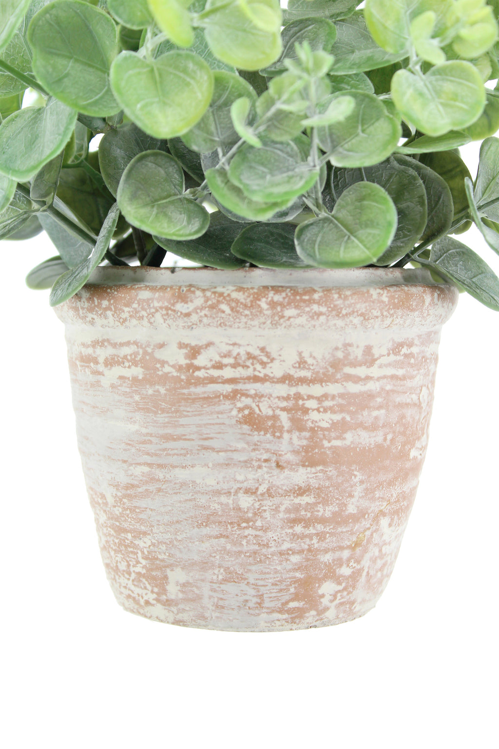 Faux 10 in Eucalyptus and 16 in Citrus Topiary Set