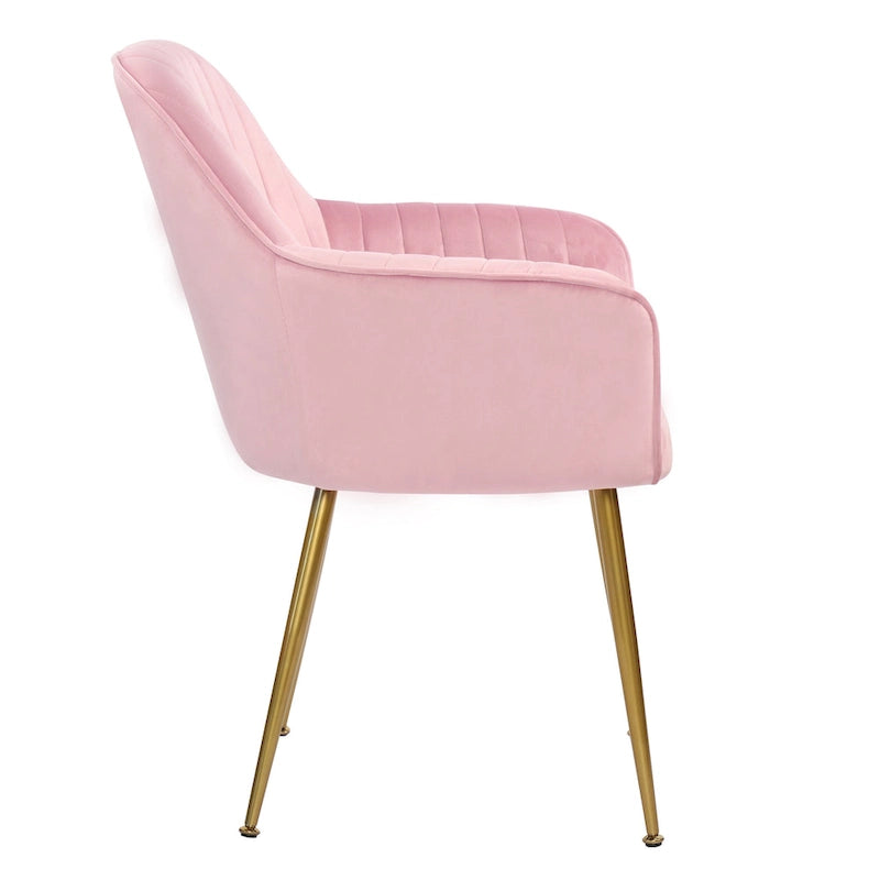 Velvet Accent Dining Chairs with Gold Metal Legs Set of 2
