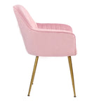 Velvet Accent Dining Chairs with Gold Metal Legs Set of 2
