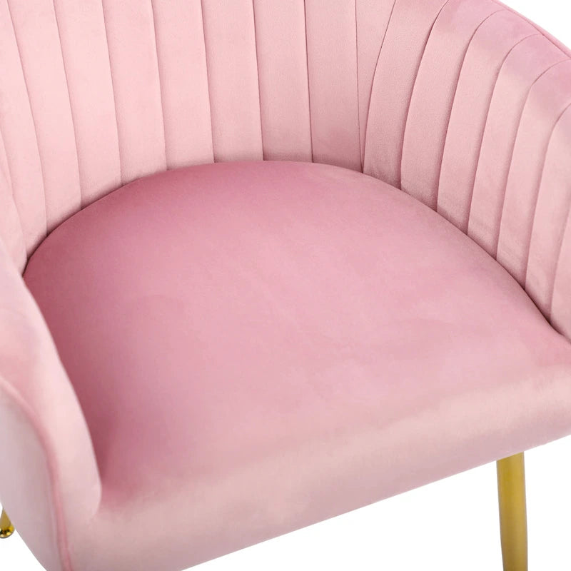 Velvet Accent Dining Chairs with Gold Metal Legs Set of 2