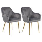 Velvet Accent Dining Chairs with Gold Metal Legs Set of 2