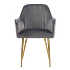Velvet Accent Dining Chairs with Gold Metal Legs Set of 2