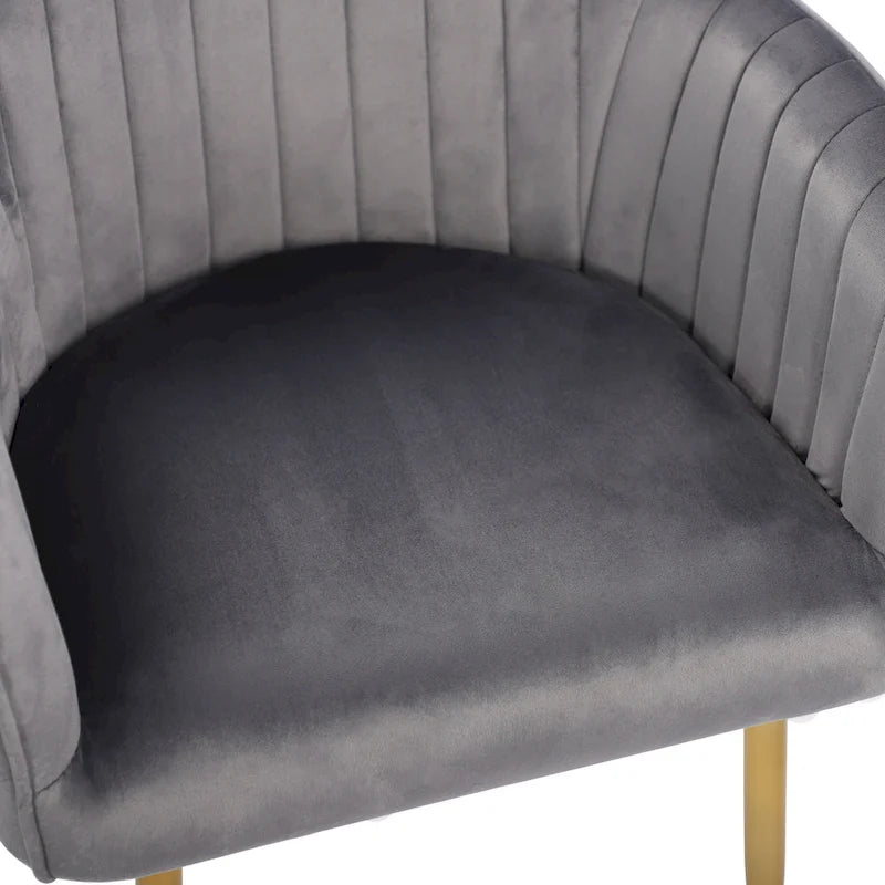 Velvet Accent Dining Chairs with Gold Metal Legs Set of 2