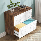 2-Drawer Lateral File Cabinet, Filing Cabinet for Home Office