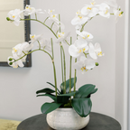 Lifelike 23 Faux Phalaenopsis Orchid