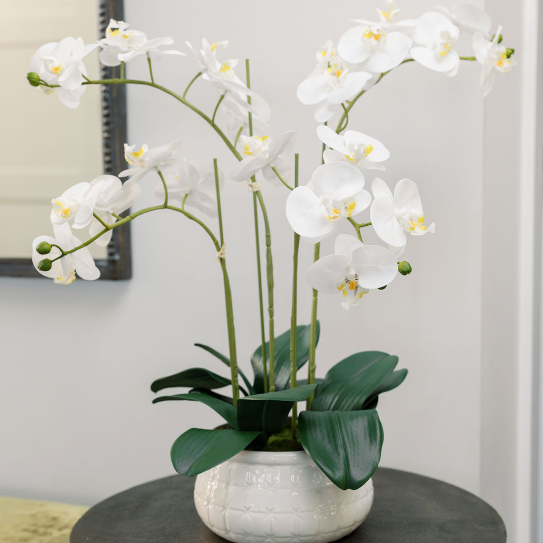 Lifelike 23 Faux Phalaenopsis Orchid