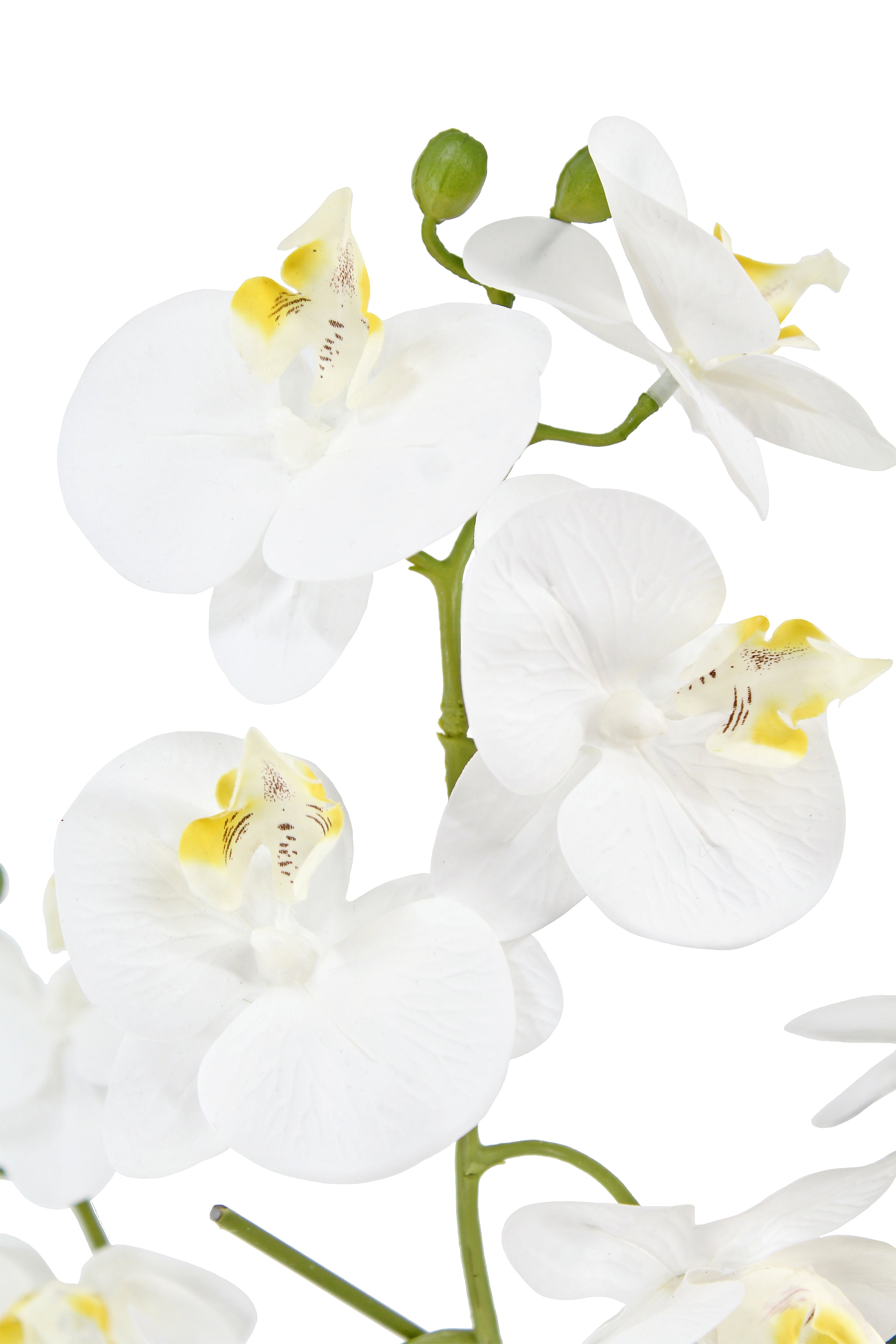 Lifelike 23 Faux Phalaenopsis Orchid