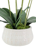 Lifelike 23 Faux Phalaenopsis Orchid