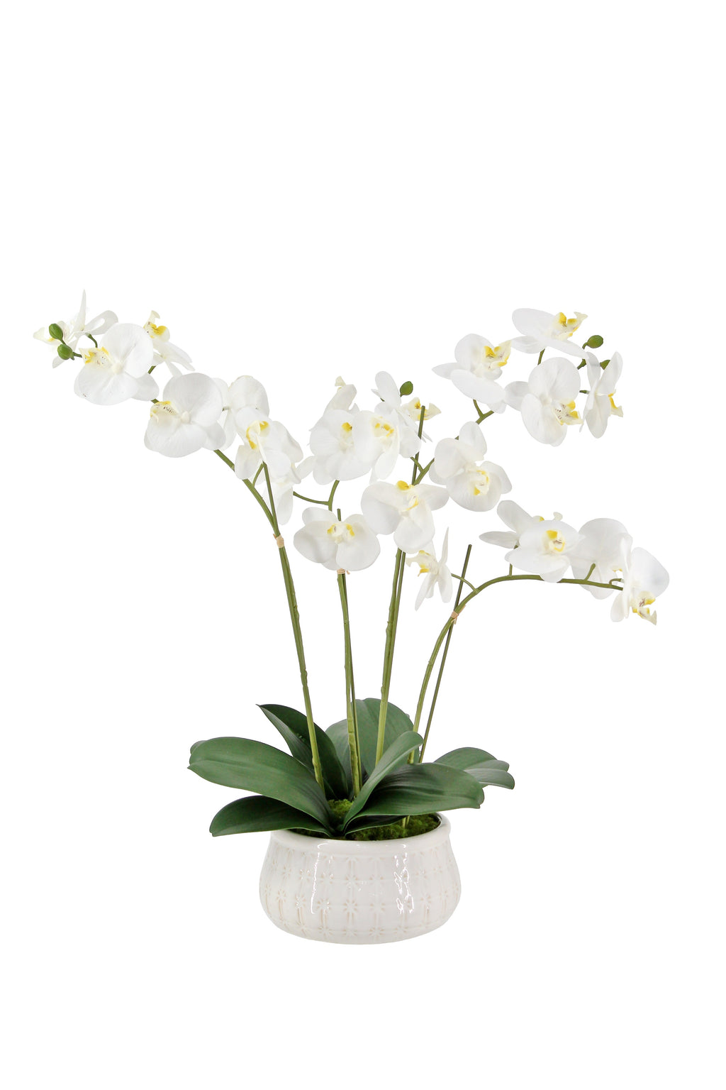 Lifelike 23 Faux Phalaenopsis Orchid