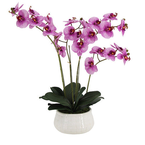 23 Faux Orchid Arrangement in Purple - Lifelike Phalaenopsis in White Ceramic Pot