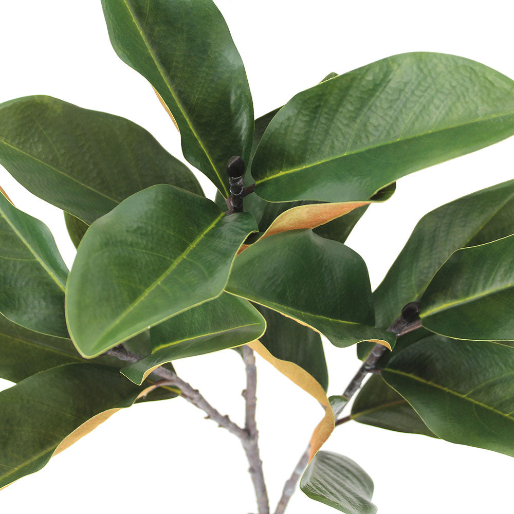 Lifelike 36 Faux Green Magnolia Leaf Stems, Set of 4