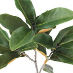 Lifelike 36 Faux Green Magnolia Leaf Stems, Set of 4