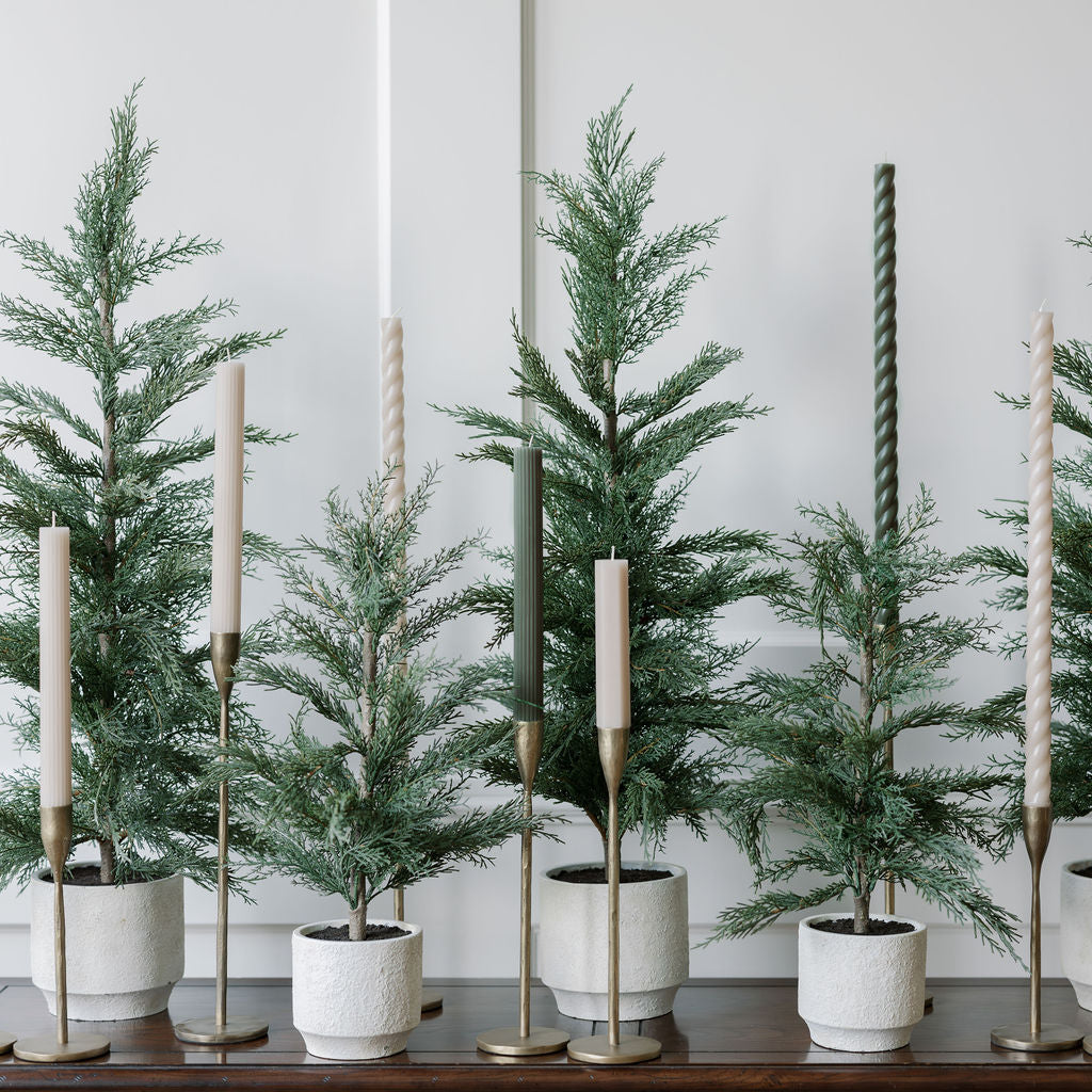 24 Lifelike Artificial Cedar Trees in Elegant Cream Pots, Set of 2