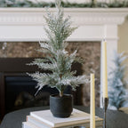 2' Flocked Cedar Tree with Lifelike Snowy Flocking