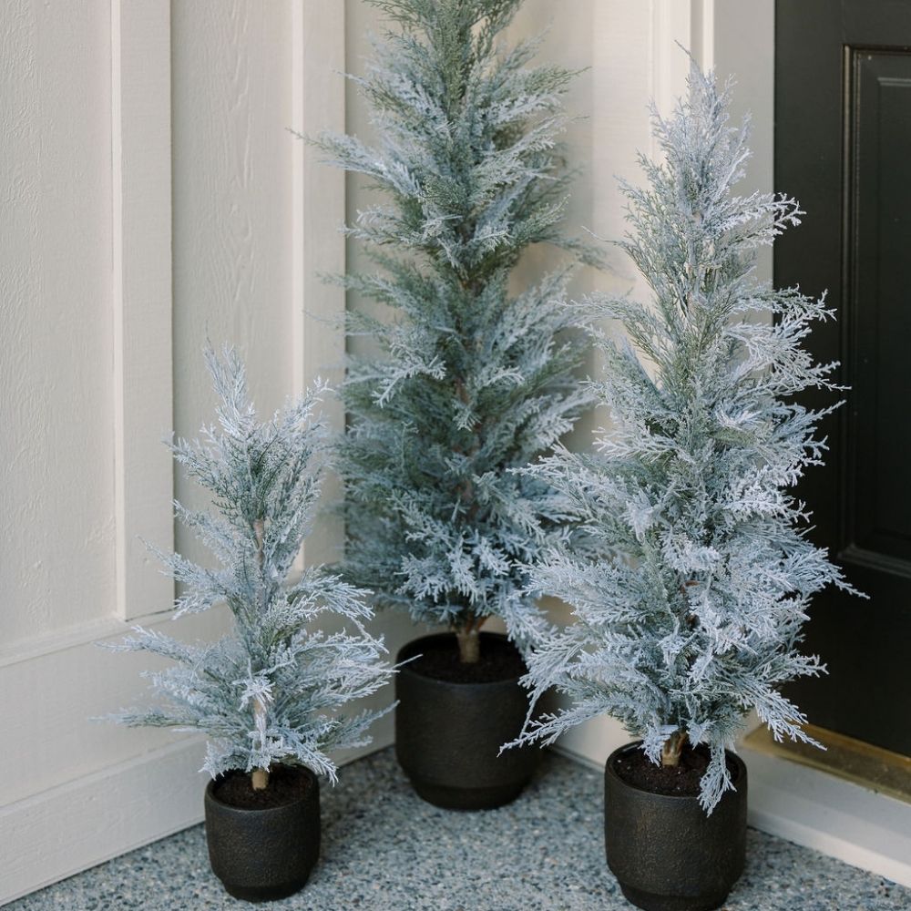 3' Flocked Cedar Tree with Snowy Flocking