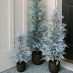 3' Flocked Cedar Tree with Snowy Flocking