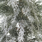 Elegant 4' Cedar Tree with Lifelike Foliage