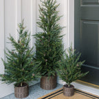 3' Pine Tree in Rustic Brown Basket with Mini Pinecones