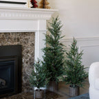 3' Pine Tree in Rustic Brown Basket with Mini Pinecones