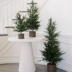 2' Pine Tree with Lifelike Branches and Rustic Pinecones in Brown Wired Basket