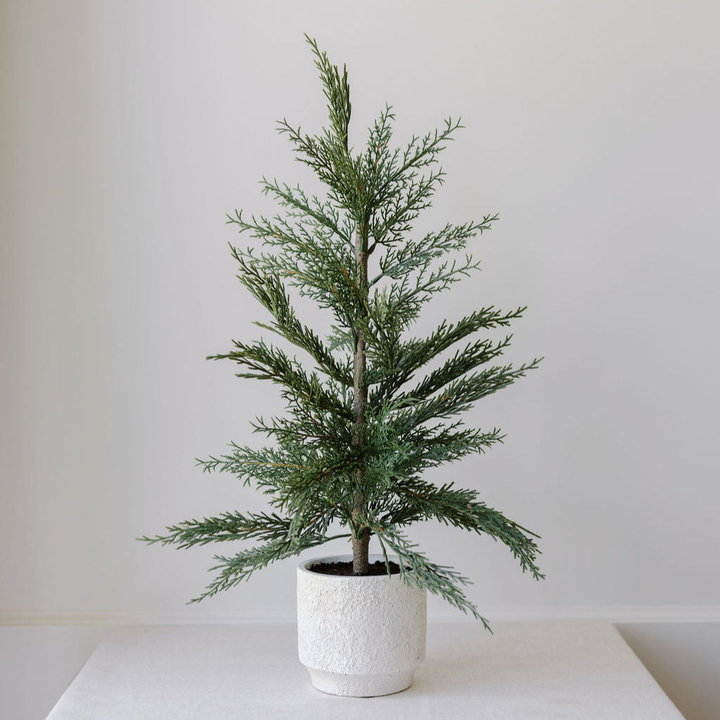 24 Lifelike Artificial Cedar Trees in Elegant Cream Pots, Set of 2