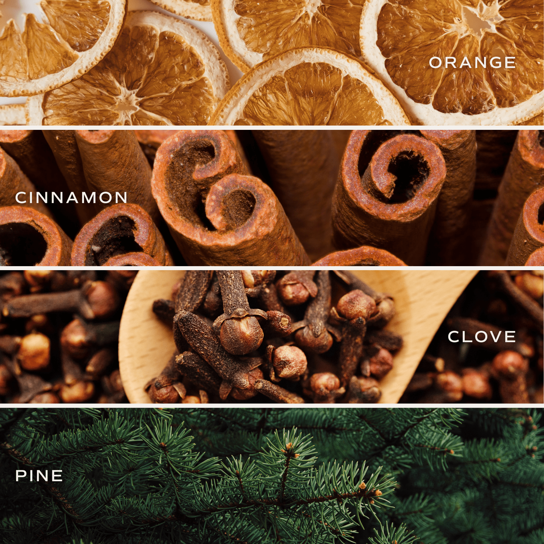 Warm and Cozy Soy Candle - Tinted Glass Jar - 12 oz