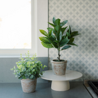 Faux 10 in Eucalyptus and 16 in Citrus Topiary Set