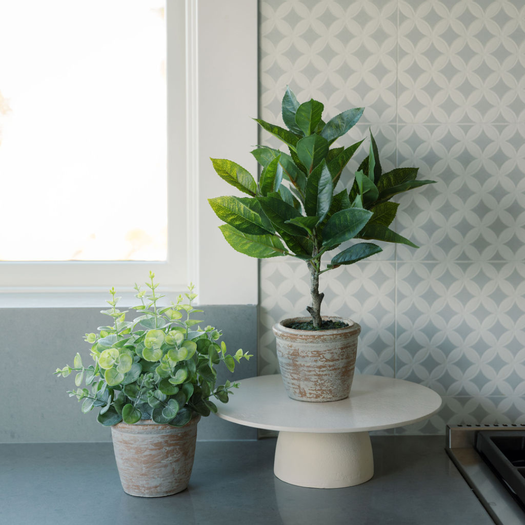 Faux 10 in Eucalyptus and 16 in Citrus Topiary Set