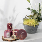 Pier 1 Asian Spice® Filled 3-Wick Candle 14oz