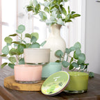 Pier 1 Citrus Cilantro® Filled 3-Wick Candle 14oz